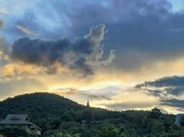  Grundstück zu verkaufen in Wiang Pa Pao, Chiang Rai, Mae Chedi, Wiang Pa Pao, Chiang Rai