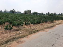  Land for sale in Nakhon Ratchasima, Suranari, Mueang Nakhon Ratchasima, Nakhon Ratchasima