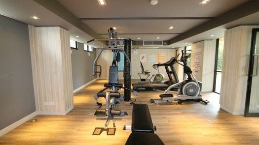 Photos 1 of the Communal Gym at Palm Springs Nimman (Parlor)