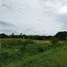  Land for sale in Pak Nam, Suphan Buri, Pak Nam, Doem Bang Nang Buat, Suphan Buri
