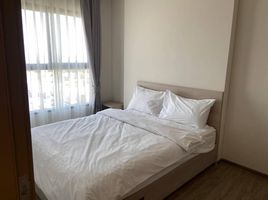 2 Bedroom Condo for rent at NIA By Sansiri, Phra Khanong Nuea, Watthana