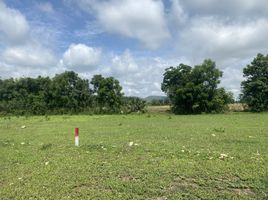  Land for sale in Suphan Buri, U Thong, U Thong, Suphan Buri