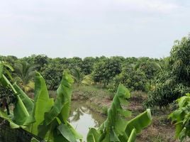  Land for sale in Mueang Nakhon Pathom, Nakhon Pathom, Don Yai Hom, Mueang Nakhon Pathom