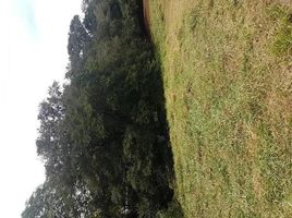  Land for sale in Grecia, Alajuela, Grecia