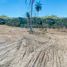  Land for sale in Amazonas, Utcubamba, Amazonas