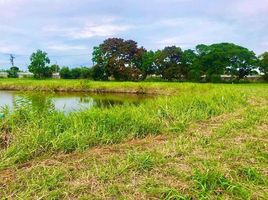  Land for sale in Bang Chalong, Bang Phli, Bang Chalong