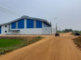  Warehouse for sale in Wang Kai Thuean, Hankha, Wang Kai Thuean