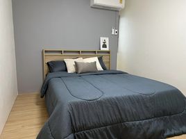2 Bedroom Condo for rent at Nue Noble Ratchada-Lat Phrao, Chantharakasem, Chatuchak, Bangkok