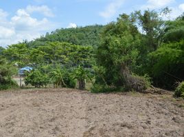  Land for sale in Chiang Rai, Tha Khao Plueak, Mae Chan, Chiang Rai