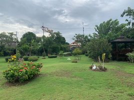  Land for sale in Chachoengsao, Hom Sin, Bang Pakong, Chachoengsao