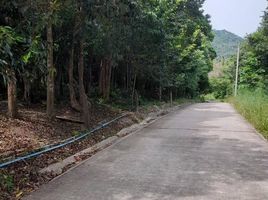  Land for sale in Ko Tao, Ko Pha-Ngan, Ko Tao