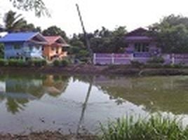 1 Schlafzimmer Haus zu verkaufen in Phrom Buri, Sing Buri, Ban Mo, Phrom Buri