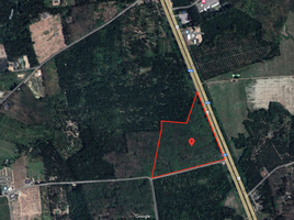  Land for sale in Thung Luang, Lamae, Thung Luang
