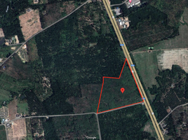  Land for sale in Chumphon, Thung Luang, Lamae, Chumphon