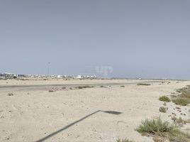  भूमि for sale at Jebel Ali Hills, 