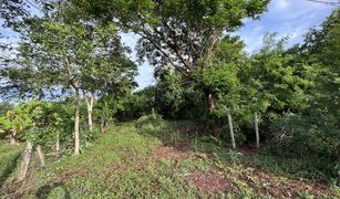 N/A Land for sale in Wang Kai Thuean, Chai Nat 