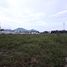  Land for sale in Hua Hin Airport, Hua Hin City, Hua Hin City