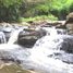 ขายที่ดิน ใน ภูเรือ เลย, หนองบัว, ภูเรือ, เลย