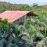 3 Bedroom House for rent in Ecuador, Manglaralto, Santa Elena, Santa Elena, Ecuador