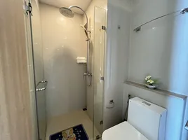 1 Schlafzimmer Wohnung zu vermieten im The Riviera Jomtien, Nong Prue