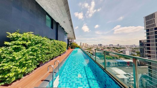 3D视图 of the Communal Pool at The Alcove Thonglor 10