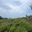  Land for sale in AsiaVillas, Bo Phut, Koh Samui, Surat Thani, Thailand