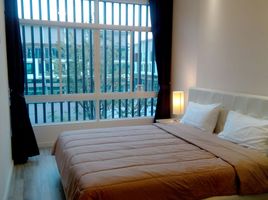 1 Schlafzimmer Wohnung zu vermieten im My Hip Condo , Nong Pa Khrang, Mueang Chiang Mai, Chiang Mai
