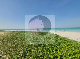 4 Bedroom Villa for sale at HIDD Al Saadiyat, Saadiyat Island