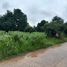  Land for sale in Chaiyaphum, Ban Lao, Mueang Chaiyaphum, Chaiyaphum