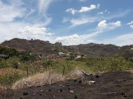  Land for sale in Carrillo, Guanacaste, Carrillo