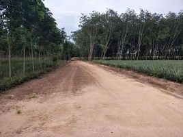  Grundstück zu verkaufen in Pluak Daeng, Rayong, Maenam Khu, Pluak Daeng