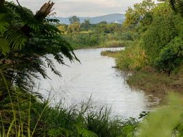  Grundstück zu verkaufen in Mae Rim, Chiang Mai, Khi Lek, Mae Rim