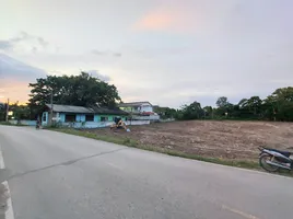 ขายที่ดิน ใน แม่ริม เชียงใหม่, แม่สา, แม่ริม, เชียงใหม่