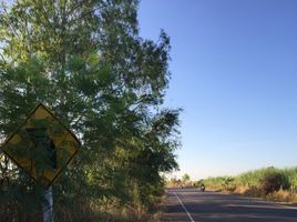  Grundstück zu verkaufen in Nam Phong, Khon Kaen, Muang Wan, Nam Phong