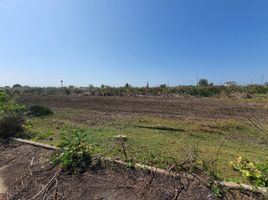  Land for sale in Don Khoi, Kamphaeng Saen, Don Khoi