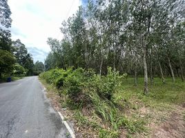  Land for sale in Nakhon Si Thammarat, Khuan Phang, Ron Phibun, Nakhon Si Thammarat