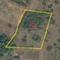  Land for sale in Ubon Ratchathani, Pao, Trakan Phuet Phon, Ubon Ratchathani