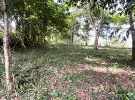  Land for sale in Phuket, Mai Khao, Thalang, Phuket