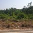  Land for sale in Ton Thong Chai, Mueang Lampang, Ton Thong Chai