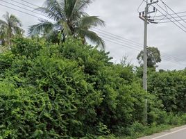  Grundstück zu verkaufen in Thap Sakae, Prachuap Khiri Khan, Na Hu Kwang