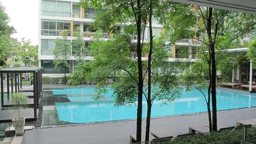 Фото 1 of the Communal Pool at Ficus Lane