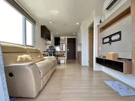 1 Schlafzimmer Wohnung zu verkaufen im Rhythm Sukhumvit 50, Phra Khanong