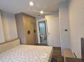 1 Schlafzimmer Appartement zu vermieten im The Crest Sukhumvit 49, Khlong Tan Nuea