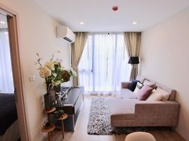 Studio Wohnung zu verkaufen im Serio Sukhumvit 50, Phra Khanong, Khlong Toei