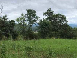  Land for sale in Mae Hong Son, Wiang Nuea, Pai, Mae Hong Son