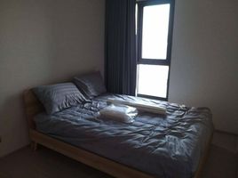 1 Schlafzimmer Wohnung zu vermieten im Life Sukhumvit 62, Bang Chak