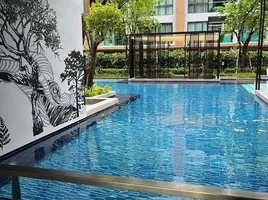 คอนโด สตูดิโอ ให้เช่า ในโครงการ The Excel Hideaway Sukhumvit 50, พระโขนง, คลองเตย, กรุงเทพมหานคร