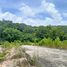  Land for sale in Thalang, Phuket, Choeng Thale, Thalang