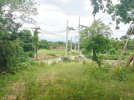  Land for sale in Samui International Airport, Bo Phut, Bo Phut