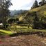  Land for sale in Antioquia, Rionegro, Antioquia
